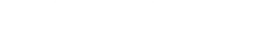 Willow by Cricbuzz logo